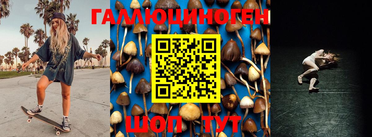 купить наркотики цена  Галлюциногенные грибы мухоморы  Вход с VPN  Черкесск 
