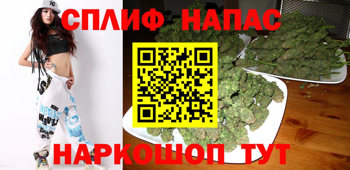 Конопля гибрид Черкесск